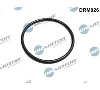 Guarnizione valvola a farfalla Lato scarico DRM026 Dr.Motor Automotive per DACIA