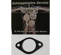 Guarnizione valvola EGR Ford TRANSIT RANGER 1763294 originale