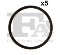 Guarnizione valvola EGR FPM (Fluoro-Caucciù) 076.304.005 FA1