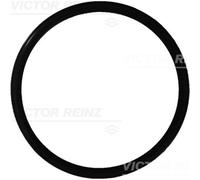 Guarnizione valvola EGR REINZ 40-76165-00