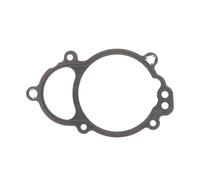 guarnizione variatore fase per volkswagen audi