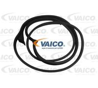 Guarnizione vetro portiera anteriore Sx V30-1542 VAICO per MERCEDES-BENZ