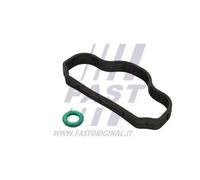 Guarnizione vite coperchio valvole FT48302 FAST per FORD TRANSIT V363 Furgone