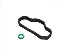 Fast Guarnizione vite coperchio valvole FT48302 per FORD TRANSIT V363 Furgone