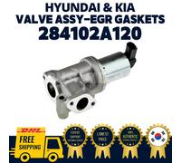 Guarnizioni Assy-EGR Valvola Hyundai Kia OEM ORIGINALI 284102A120