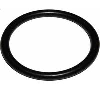 Guarnizioni DRESSELHAUS 4630/000/17 24x3