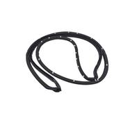 Guarnizioni Finestrini Sportello Striscia di guarnizione in gomma per porta per Mitsubishi per Montero per Pajero 3 4 per MK3 per MK4 V73 V75 V77 V78 V93 V97 V98(Anteriore sinistro)