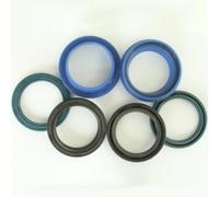 Guarnizioni forcella Enduro Bearings Rochshox Boxxer, Pike, Reba 32 mm Multicolore