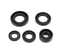 Guarnizioni Motore - Paraolio Motore丨 Guarnizione Guarnizioni Olio Motore 5 Pezzi丨 Kit Set Paraolio Motore Accessorio per Lifan Pit Pro Trail Quad Dirt Bike Atv