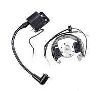 Guarnizioni motore per moto Adatto per 50 50SX 50cc Pro Senior Junior SR JR SX50 Adventure Kit bobina di accensione statore rotore magnete volano