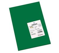 Guarro Canson 200040210 Foglio A3, Confezione da 50 Pezzi, Verde