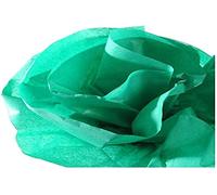 Guarro Canson 200992667 Nastro Carta Seta da 0.5X5 m, Verde