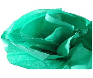 Guarro Canson 200992667 Nastro Carta Seta da 0.5X5 m, Verde