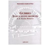 Gubbio. Scavi e nuove ricerche con planimetrie. Il teatro romano (Vol. 2)