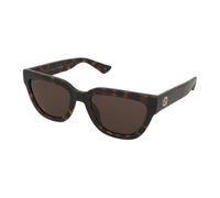 Gucci Donna Gucci GG1578S 002 Occhiali da sole Iniettato Havana Marrone Cat Eye