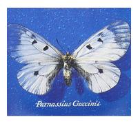Guccini Francesco - Parnassius Guccinii