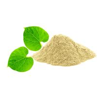 Guduchi Giloy Powder Churna Tinospora Cordifolia Fever da 60 g a 1 kg spedizi...