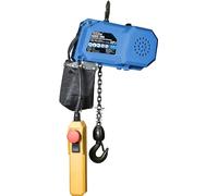 Güde GEKZ 300 - Paranco a catena elettrico (230 V, 410 W di potenza del motore (P1), carico massimo di 300 kg, lunghezza della catena di 3 m, con arresto di emergenza, freno di trasmissione meccanico