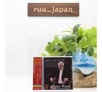 Günter Wand NDR-SO Live 2 CD Bruckner Symphony No.8,9 Japan OBI NUOVO