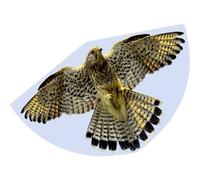 Günther Flugspiele 1230 Monofilo Aquilone statico FALKE Larghezza estensione (d