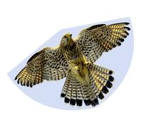 Günther Flugspiele 1230 - Aquilone per bambini con motivo a falco, linea singola in robusto foil di PE, partire da 4 anni, dimensioni circa 92 x 62 cm