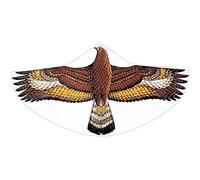 GÜNTHER FLUGSPIELE 1146 - Aquilone per bambini con motivo dell'aquila d'oro, aquilone a linea singola in robusto foil di PE, per bambini a partire da 4 anni, dimensioni circa 122 x 68 cm