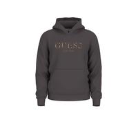 Guess Apparel Felpa Uomo Colore Marrone XS