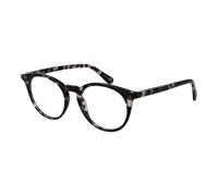 Guess Black Acetate Glasses (Frames)