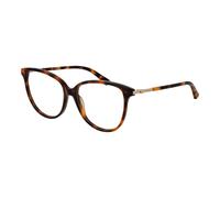 Guess Brown Acetate Glasses (Frames)