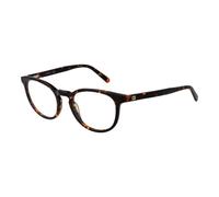 Guess Brown Acetate Glasses (Frames)