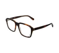Guess Brown Plastic Glasses (Frames)