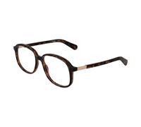 Guess Brown Plastic Glasses (Frames)