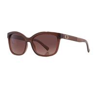 Guess Brown Resin Sunglasses
