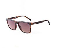 Guess Brown Resin Sunglasses