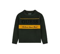 Guess Long Sleeve Sweater Maglione, Verdi della Giungla, 5 Anni Neonati
