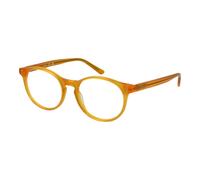 Guess Orange Acetate Glasses (Frames)