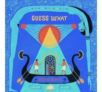 Guess What - Solar Boats