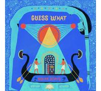 Guess What - Solar Boats