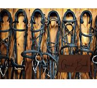 Guest Book: Designer Horse Visitor Sign In Register | Log Book To Record Travellers/Tourists Date of Stay, Name, Travelled From and Memories of Their ... Bed and Breakfast, Farmstay, Ranch, or Farm