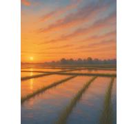 Guest Book - Golden Sunset Reflections: A keepsake memory space for weddings, baby showers, Airbnbs, parties, and special events