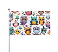 Gufi E Uccelli Divertenti Bandiera Da Cortile Resistente Alle Intemperie Bandiere Di Benvenuto Divertente Bandiere Da Giardino Decorazione Per Patio Interni Esterni 90X152Cm