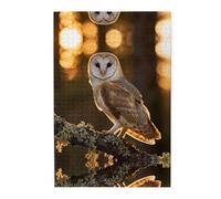 Gufo a forma di cuore 1000 pezzi puzzle in legno per adulti - sollievo dallo stress disegni rilassanti in scatola di plastica, gioco divertente per la famiglia decorazione da parete regalo