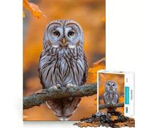 Gufo appollaiato su un ramo in autunno - Puzzle da 1000 pezzi per adulti - Stimola la memoria - Rilassamento - Taglio preciso - Regalo per le vacanze (38x26cm)