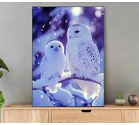 Gufo Dipingere con i Numeri Adulti, Dipingere con i Numeri Inverno, Fai Da Te Paint by Numbers Creativo Adulti con Cornice, Pennelli e Pigmenti Acrilici per Decorazioni Casa Parete 30x40 cm Li6-419