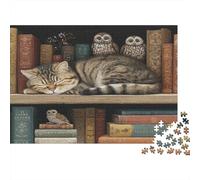 Gufo e gatto soriano dormono sulla libreria Puzzle 1000Pcs Decorazione Per La Casa. Rilassamento E Intelligence Per Adulti E Bambini Da 14 Anni 1000pcs (75x50cm)