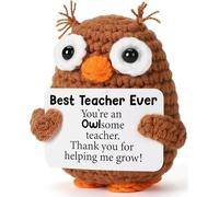 Gufo fatto a mano all'uncinetto, regalo di ringraziamento per insegnante, collega, mentore, gufo positivo all'uncinetto, compleanno, laurea, bar mitzvah, incoraggiamento al progresso