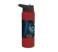 Gufo mistico gufo e gufo custode della foresta Stainless Steel Insulated Water Bottle