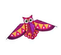 Gufo Patterned Kite Alta Visibilità Promuove Lo Sviluppo Di Competenze Motoriche Libero Esplorazione Regalo Resistente Al Vento, Kit Per Bambini