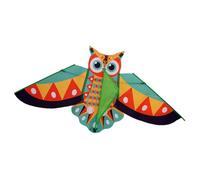 Gufo Patterned Kite Alta Visibilità Promuove Lo Sviluppo Di Competenze Motoriche Libero Esplorazione Regalo Resistente Al Vento, Kit Per Bambini