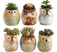 Gufo Pentola Ceramica Flowing Velata Base Seriale Set Grasse Pianta Cactus P